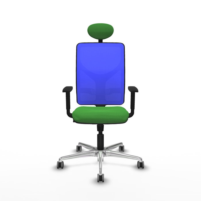 PIQUERAS Y CRESPO Silla de oficina Motilla con mecanismo Sincro, tela Verde y malla Azul PIQUERAS Y CRESPO Silla de oficina Motilla con mecanismo Sincro, tela Verde y malla Azul