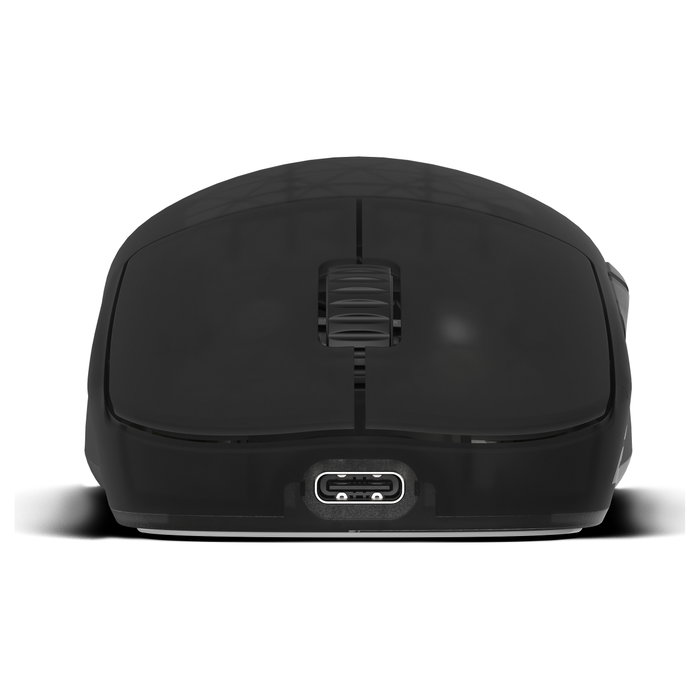 Endgame Gear OP1w 4k v2 Wireless Gaming-Maus Dark Frost