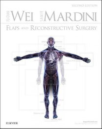 ELSEVIER UK FLAPS AND RECONSTRUCTIVE SURGERY (2TH EDITION)