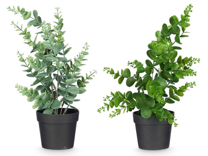 IBERGARDEN Maceta Planta Hoja Bola Mate Brillo Surtidos Col 16x35x10cm (Set de 12)