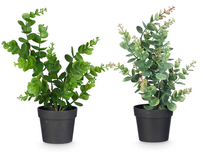 IBERGARDEN Maceta Planta Hoja Bola Mate Brillo Surtidos Col 16x35x10cm (Set de 12)