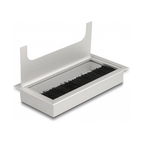 DeLOCK Pasacables para montaje en mesa con cepillo 160 x 80 x 28 mm plata