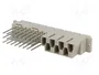 HARTING Conector DIN 41612 Hembra Recto de 31 Pines (7+24) de Datos/Potencia