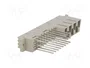 HARTING Conector DIN 41612 Hembra Recto de 31 Pines (7+24) de Datos/Potencia