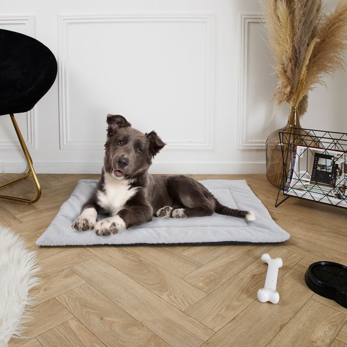 The Concept Factory Alfombra para Mascotas 85x65 cm Suave y Práctica