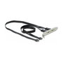 DeLOCK 89935 Soporte de ranura con 2 puertos USB Type-C™ 10 Gbps