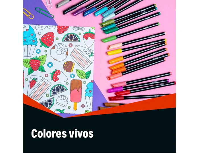 BIC Rotuladores Color Up Intensity de 24 colores