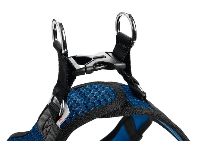 Hunter Arnés Hilo Comfort XS-S, Cuello: 37-42 cm, Pecho: 40-46 cm, Azul
