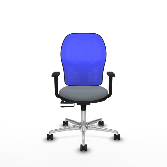 PIQUERAS Y CRESPO Silla de oficina Jorquera con mecanismo Sincro/Traslack Gris y Azul PIQUERAS Y CRESPO Silla de oficina Jorquera con mecanismo Sincro/Traslack Gris y Azul