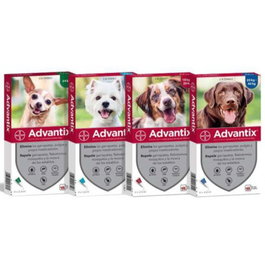 Elanco Advantix Spot-On para Perros de 4 a 10 kg - Pack de 4 pipetas de 1 mL