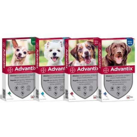 Elanco Advantix Spot-On para Perros de 4 a 10 kg - Pack de 4 pipetas de 1 mL Elanco Advantix Spot-On para Perros de 4 a 10 kg - Pack de 4 pipetas de 1 mL