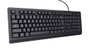 Trust Primo USB Teclado Diseño US Negro de Oficina Alámbrico