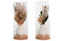 DKD Home Decor Decoración Flor Seca Cristal 8,5x8,5x20 Surtido de 2