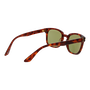 Serengeti SS575006 ETHAN Gafas de sol Fotocromáticas Verde