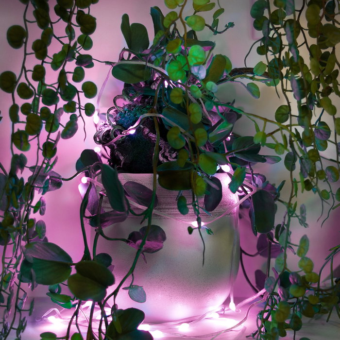 Muvit Guirnalda Luces Inteligente Wifi Dreamcolor 5m Controlable por App y Voz para Hogar y Jardín