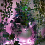 Muvit Guirnalda Luces Inteligente Wifi Dreamcolor 5m Controlable por App y Voz para Hogar y Jardín
