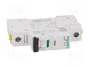 SCHNEIDER ELECTRIC iC60N Interruptor magnetotérmico 1A 1 Polo Curva D