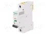SCHNEIDER ELECTRIC iC60N Interruptor magnetotérmico 1A 1 Polo Curva D