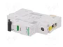 SCHNEIDER ELECTRIC iC60N Interruptor magnetotérmico 1A 1 Polo Curva D