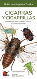 Tundra, Cigarras y cigarrillas - Guías desplegables