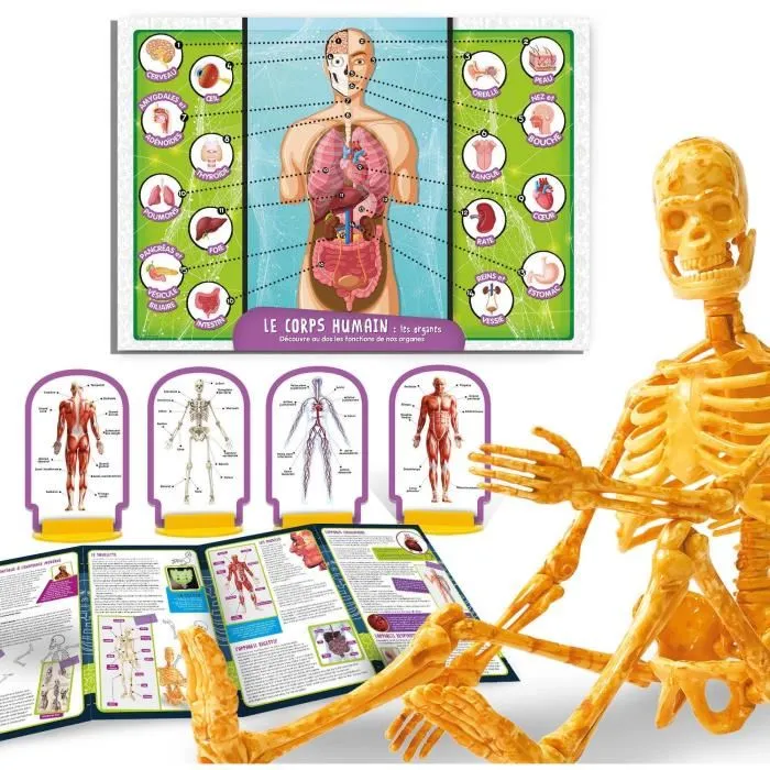 Lisciani Giochi LIS8008324104970 Descubrimiento del Cuerpo Humano - Kit Científico I'M A GENIUS POCKET Modelo 3D
