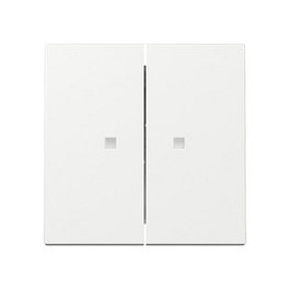 GIRA 363103 Wippe 2f Kontrollf. System 55 Placa Frontal Blanco
