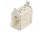 ETI POLAM Fusible NH00 de cerámica industrial 100A 500VAC