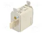 ETI POLAM Fusible NH00 de cerámica industrial 100A 500VAC