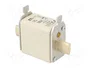 ETI POLAM Fusible NH00 de cerámica industrial 100A 500VAC