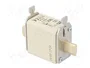 ETI POLAM Fusible NH00 de cerámica industrial 100A 500VAC