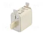 ETI POLAM Fusible NH00 de cerámica industrial 100A 500VAC