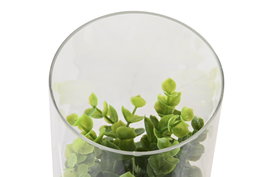 DKD Home Decor Planta Natural Marron Oscuro 12 x 18 x 12 cm (4 Unidades)