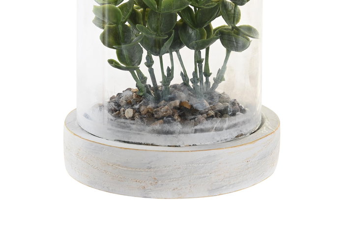 DKD Home Decor Planta Natural Marron Oscuro 12 x 18 x 12 cm (4 Unidades)