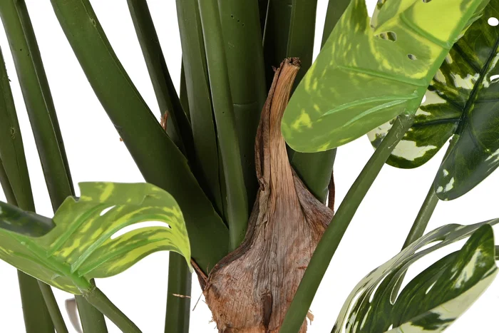 DKD Home Decor Planta Monstera Verde y Blanco con Base de Cemento DKD Home Decor Planta Monstera Verde y Blanco con Base de Cemento