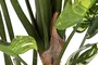 DKD Home Decor Planta Monstera Verde y Blanco con Base de Cemento