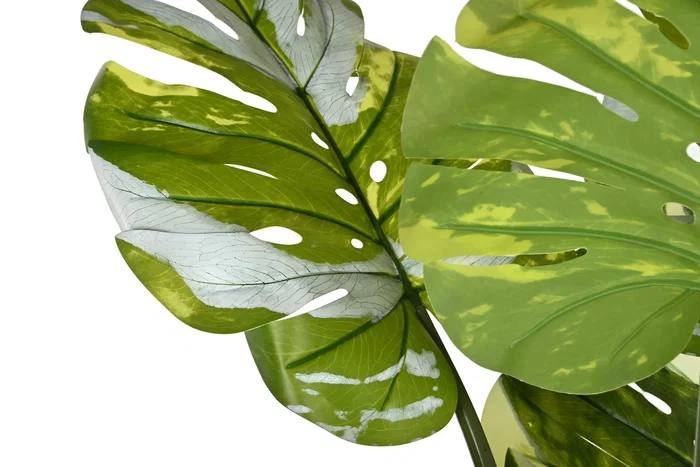 DKD Home Decor Planta Monstera Verde y Blanco con Base de Cemento DKD Home Decor Planta Monstera Verde y Blanco con Base de Cemento