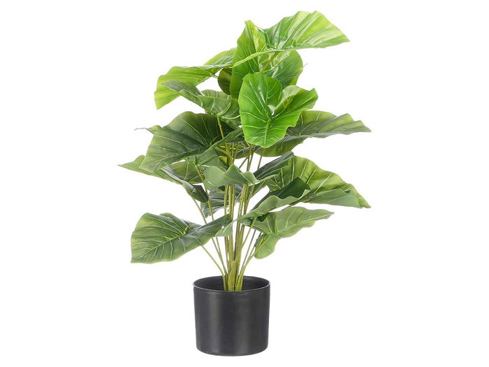 Ibergarden Maceta Planta Artificial de Hojas Anchas 70 cm de Altura, Plástico Verde/Negro, 50x50x70 cm, 18 Hojas (Set de 6)