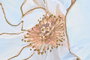 DKD Home Decor Cuadro Lienzo Flores Surtido de 2 Unidades