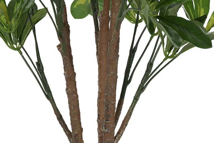 DKD Home Decor Planta Verde 50 x 120 x 50 cm (2 Unidades) Pe
