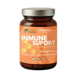 ENERGY FEELINGS Inmune Support 90 Comp. - Complemento Alimenticio con Zinc, Selenio, Vitamina D y B12 Biodisponible - Apoyo Sistema Inmunitario - Vegano - 500 mg