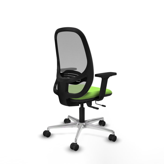 PIQUERAS Y CRESPO Silla de oficina Cilanco con mecanismo Sincro/Traslack, Pistacho y Gris PIQUERAS Y CRESPO Silla de oficina Cilanco con mecanismo Sincro/Traslack, Pistacho y Gris