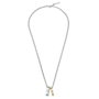 Police Collar DUO GOLD / SS NECKLACE Plateado