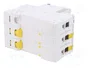 SCHNEIDER ELECTRIC Interruptor Magnetotérmico iC60N 10A 3 Polos Característica D