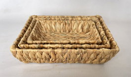 Inde Bandeja Rectangular Jacinto De Agua con Metal