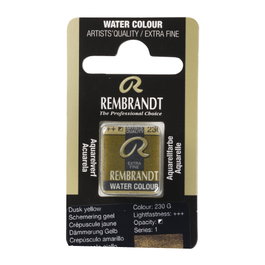 Rembrandt Acuarela Pastilla Crepúsculo Amarillo 230