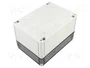 SPELSBERG TK PC 1813-11-TO Carcasa Universal Gris IP66