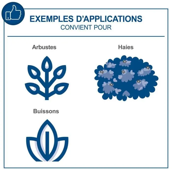 Scheppach Cortasetos Inalambrico C-HT570-X SCH4046664217503 20V IXES Longitud de Corte 51 cm Scheppach Cortasetos Inalambrico C-HT570-X SCH4046664217503 20V IXES Longitud de Corte 51 cm