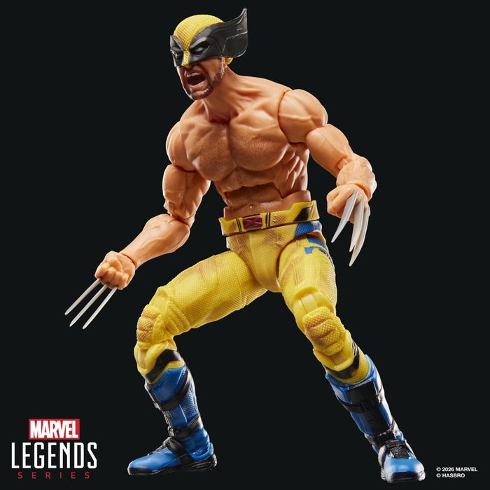Hasbro Marvel Legends Wolverine 15 cm