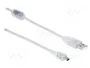 DeLOCK Cable USB 2.0 Tipo-A a Mini-B, 1 m, Transparente