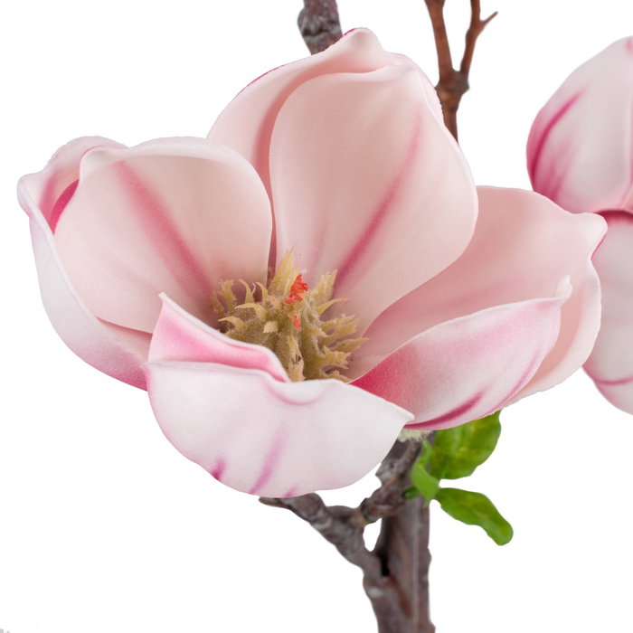 Ixia Rama de Magnolia Rosa Artificial